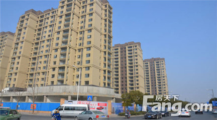 萬家團圓 安家金鷹