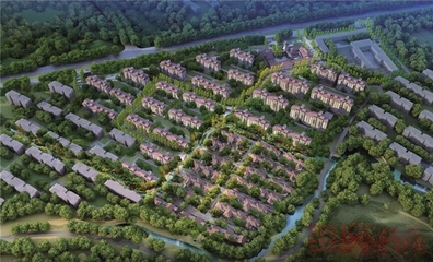 醫院來了 蓮花山配套升級 還有更多消息值得關注