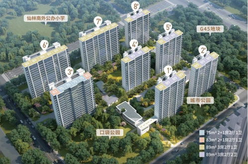 2023年南京取消限購，金鷹置業投資價值如何？